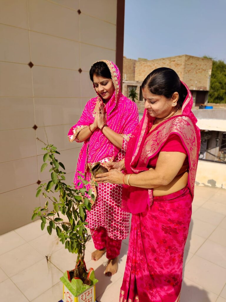 तुलसी तेला व्रत व तुलसी विवाह रविवार को,   कार्तिक माह में चला तुलसी पूजन सिंचन का दौर।