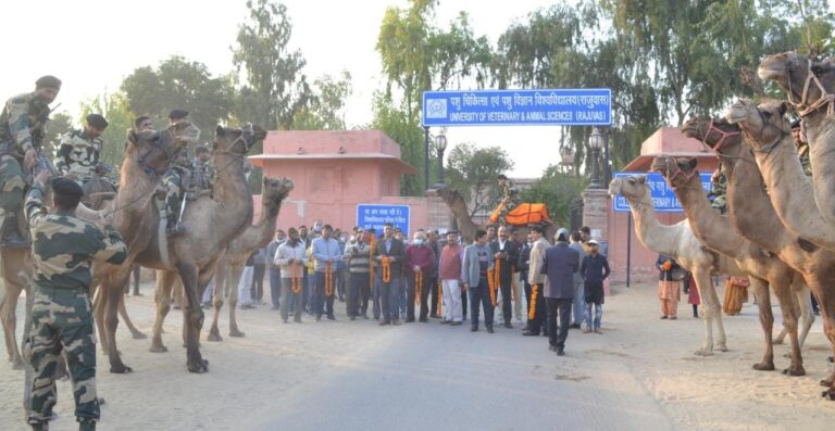 विजय दिवस पर सीमा सुरक्षा बल के जवानों का किया स्वागत