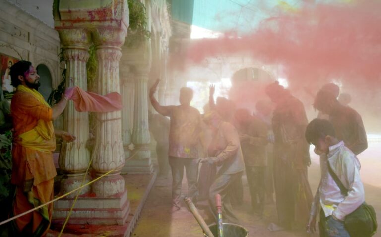 श्री राज रतन बिहारी व दाऊजी मंदिर में डोलोत्सव￼