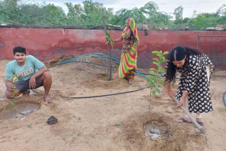 हरियाली अमावस्या के मौके पर आरसीपी कॉलोनी में किया पौधारोपण