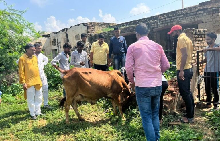 गोवंश को महामारी से बचाने सरकारी वेक्सीन नही मिल रही भामाशाह आ रहे आगे