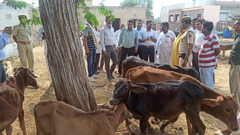 जिला कलेक्टर ने लंपी स्किन रोग की जानी स्थिति, गौशालाओं का किया निरीक्षण, पशुपालक के घर पहुंचे, ग्रामीणों से किया संवाद