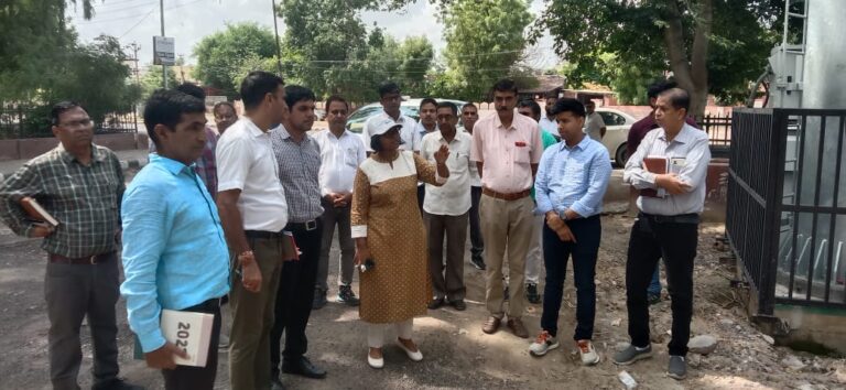 जिला कलेक्टर ने अधिकारियों के साथ देखे शहर के सर्कल्स, चौराहे और उद्यान