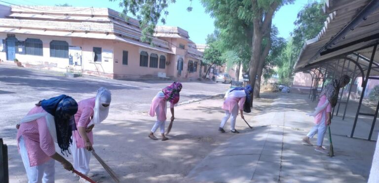 एमएस कॉलेज में छात्राओं ने किया श्रमदान