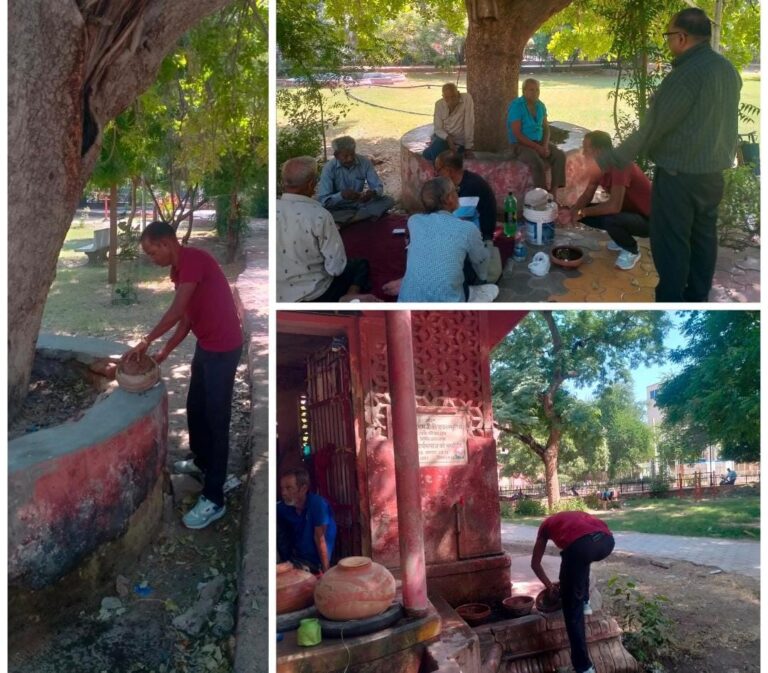 पब्लिक पार्क में बंद कराई मच्छरों की फैक्ट्रियां