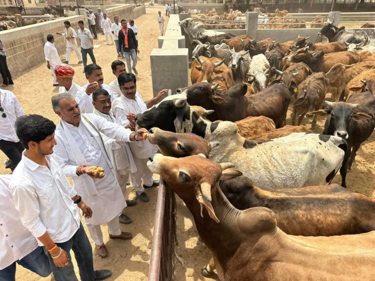 पूर्व मुख्यमंत्री का जन्मदिन गौ सेवा करके मनाया