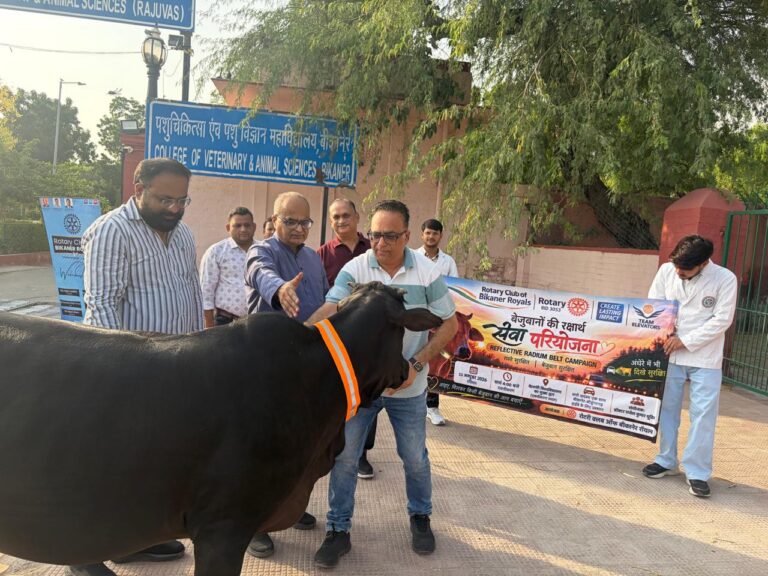 रात में गौवंश की दृश्यता बढ़ाने के लिए अभियान शुरू,रोटरी रॉयल्स की पहल